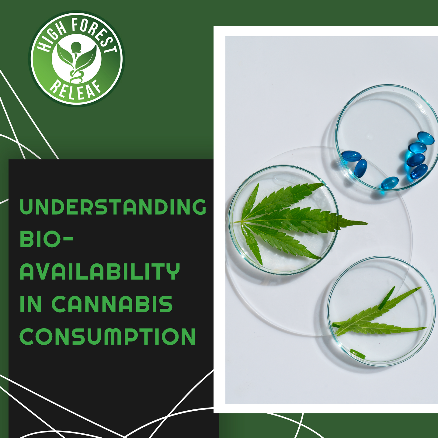 High-Forest-ReLeaf-CBD-understanding-bioavailability-in-cannabis-consumption