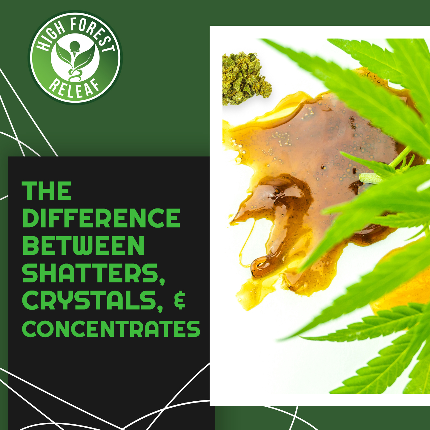 High-Forest-ReLeaf-The-Difference-Between-Crystals-Shatter-And-Concentrates