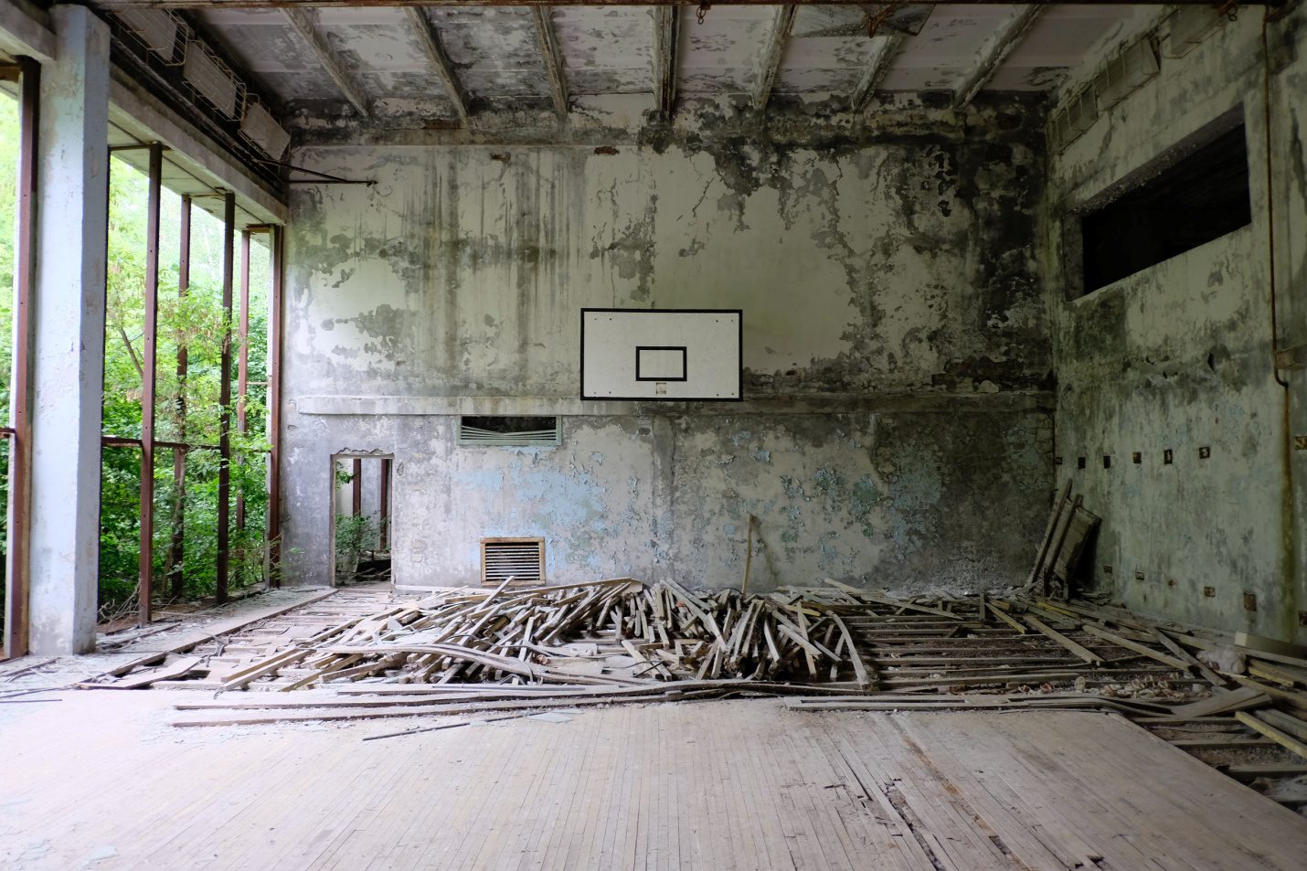 Mold Remediation