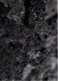 Smoke Exposure