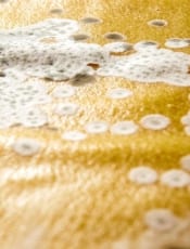 Mold Damage