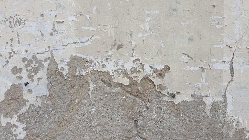 Huntersville, NC- Our Home Restoration Experts Specialize in Mold Damage Removal