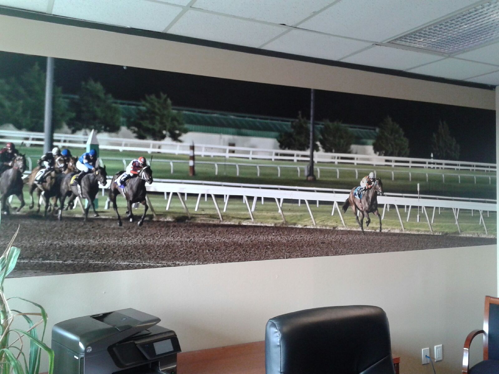 wallmural-best