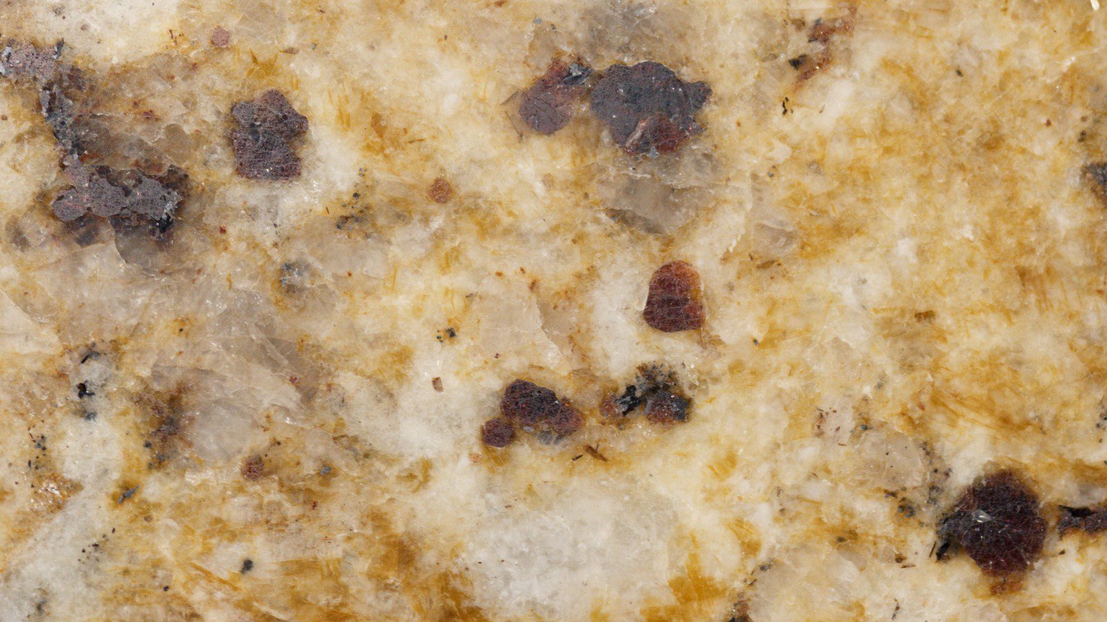 Mold Removal