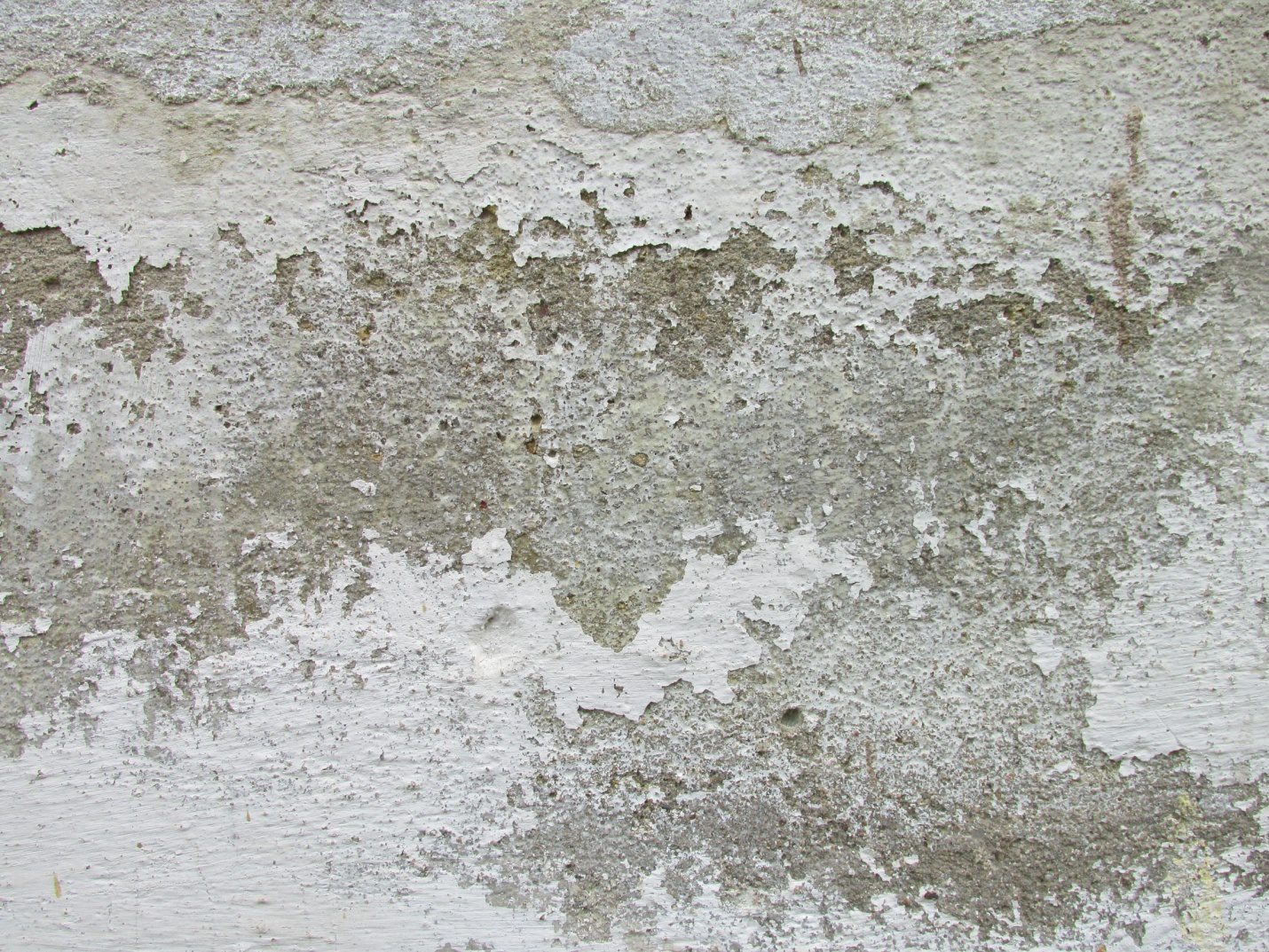 Mold Inspection