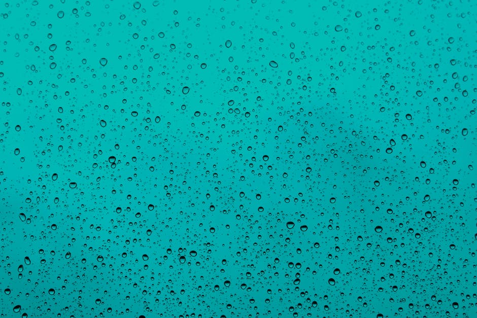 Jensen Beach FL - Home Restoration Advice: Prevent Mold After Water Damage Steps