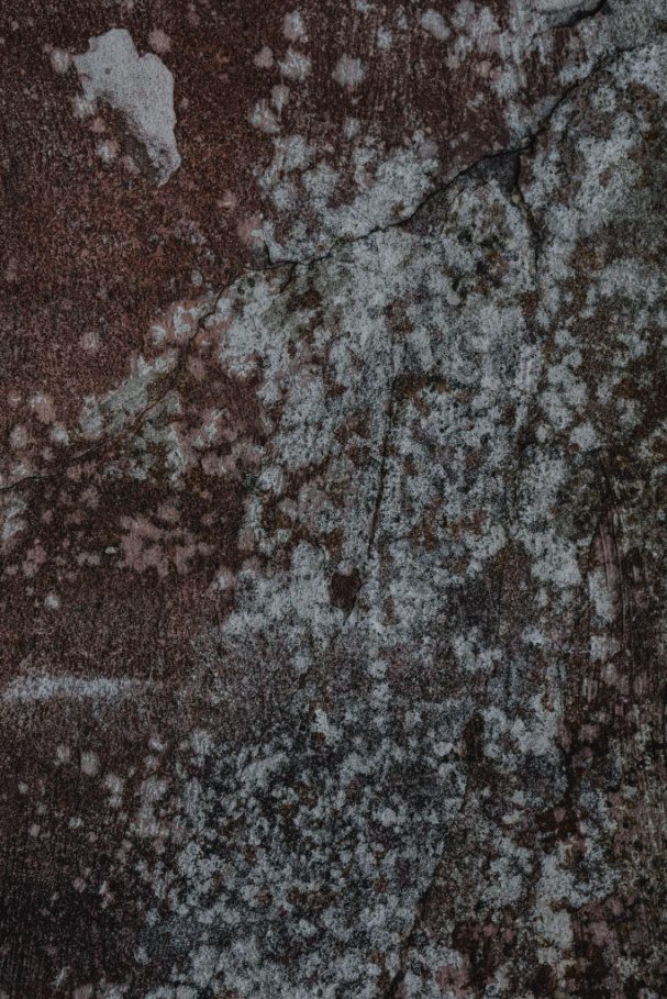 Port St Lucie FL - Signs, and Symptoms of a Mold Problem | Home Restoration News