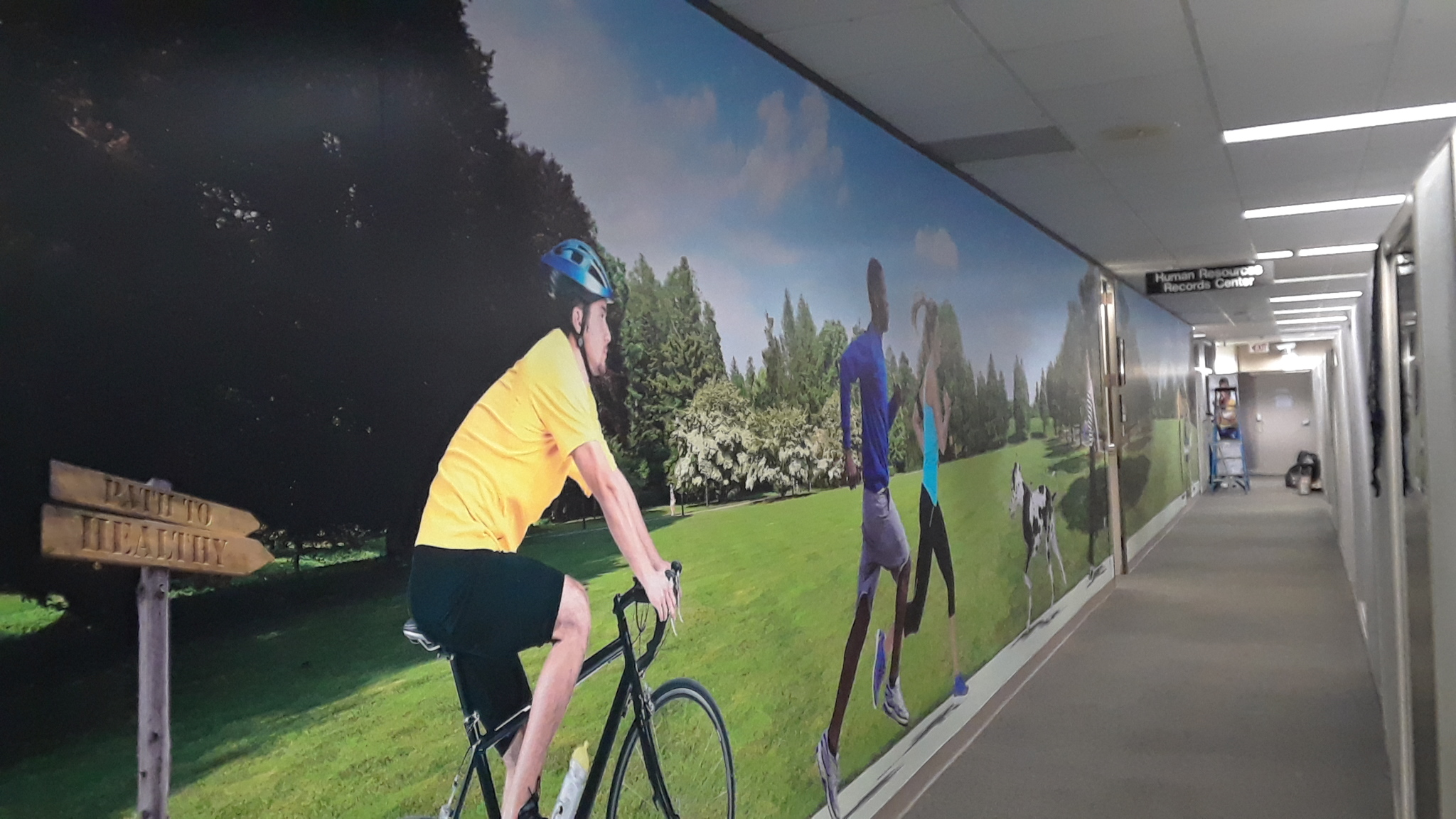 Miami, FL - Window Graphics for Visual Communication at Miami Dade County Offices.