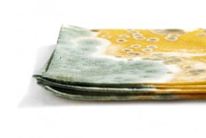 Moisture Indoors