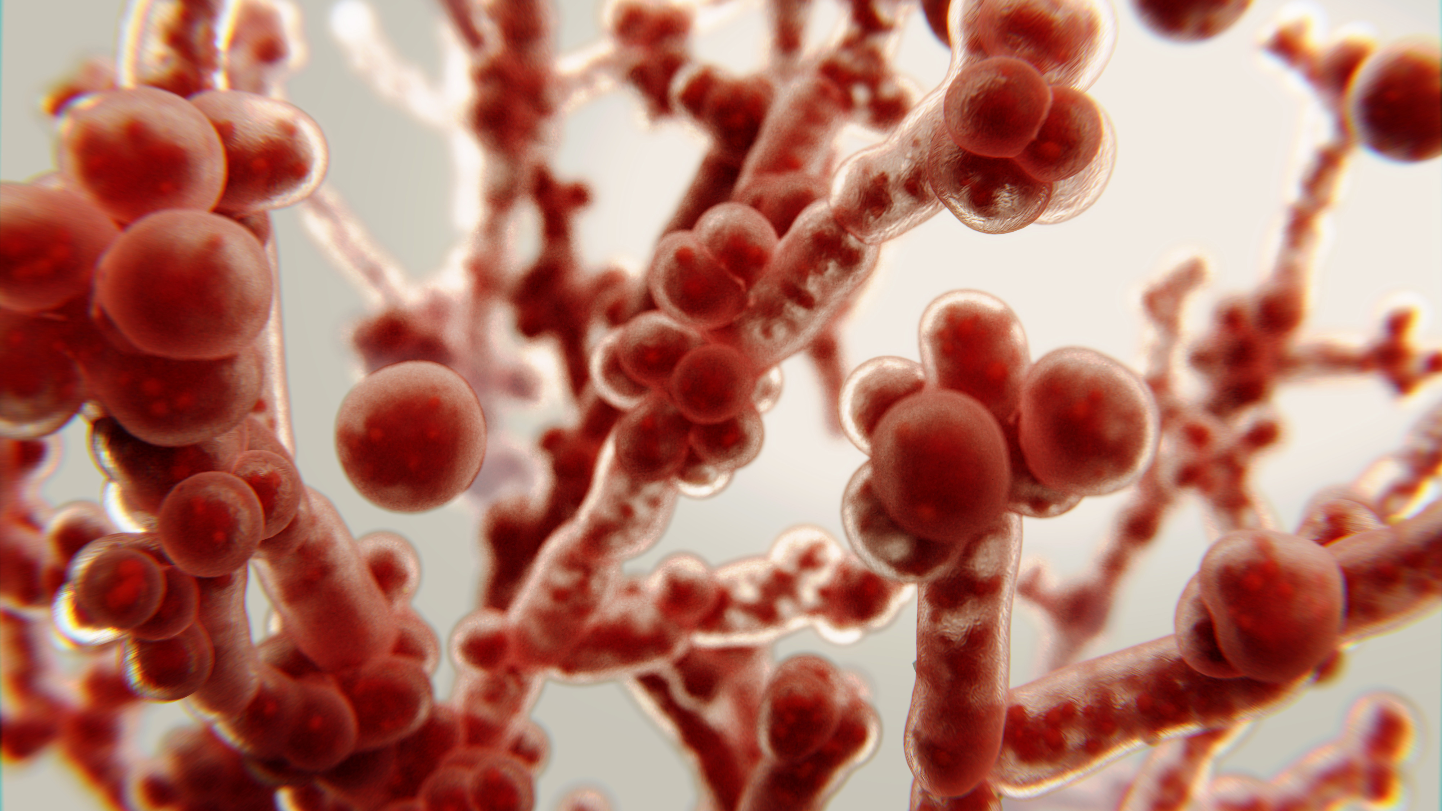 Lafayette, CA - Weight Loss Clinics Best Candida Yeast Cleanse for Gut Reset