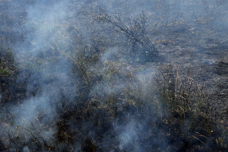 Langhorne, PA - Dangers of Smoke and Soot Exposure | Home Restoration News