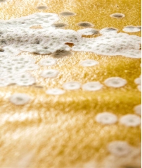 Humidity