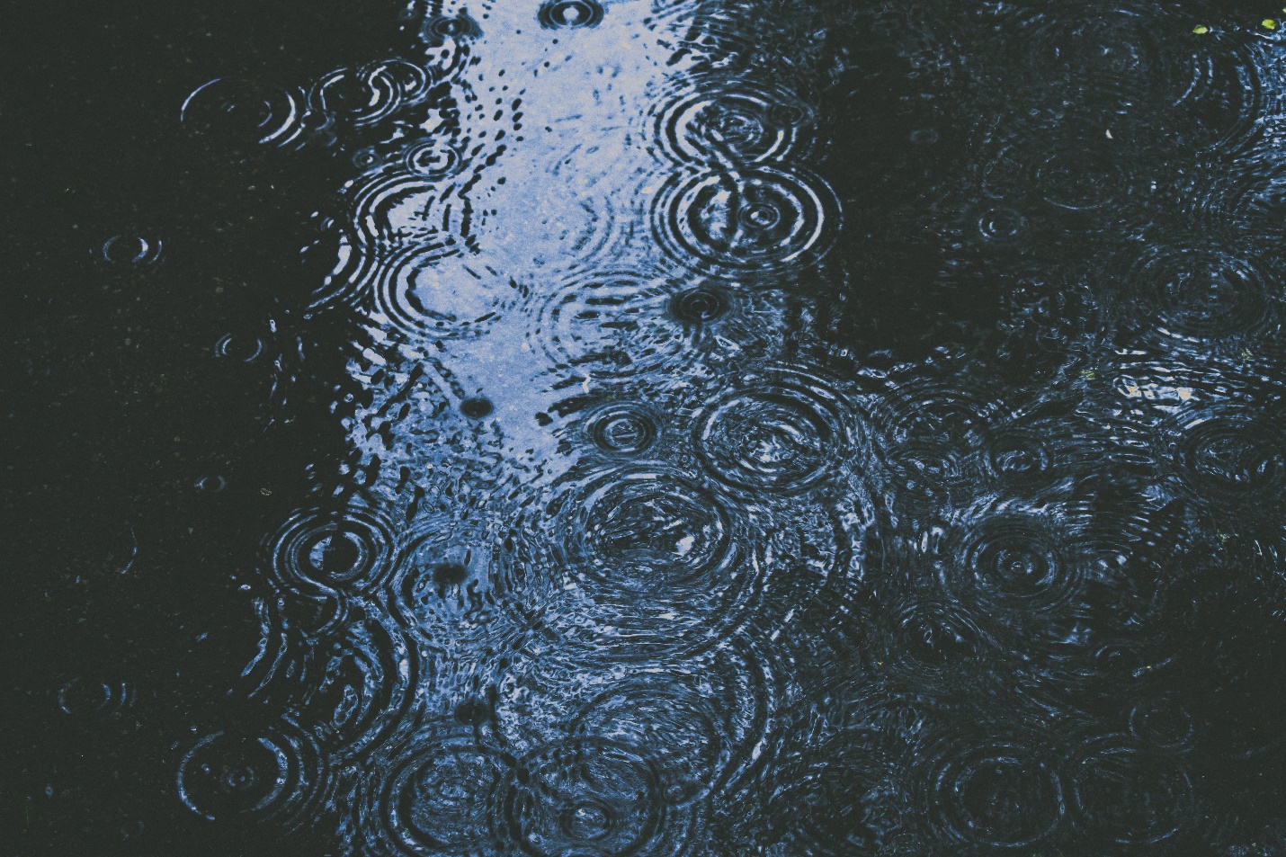Langhorne, PA – Rain flooding caused damage? Seek Extraction and Drying Services