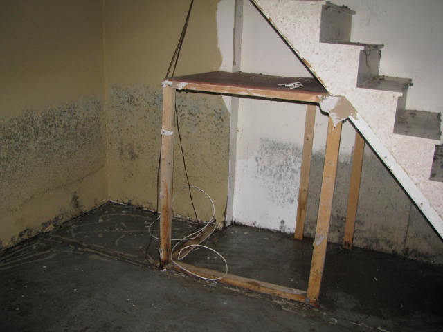 Water Damage Repair, Mold Removal in Hatboro, PA for Property Management Company