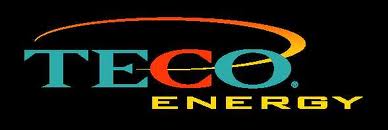 TECO logo big