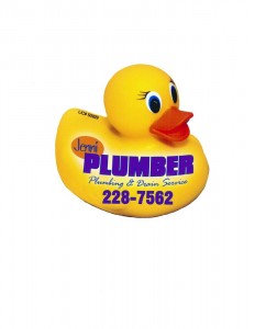 Duck