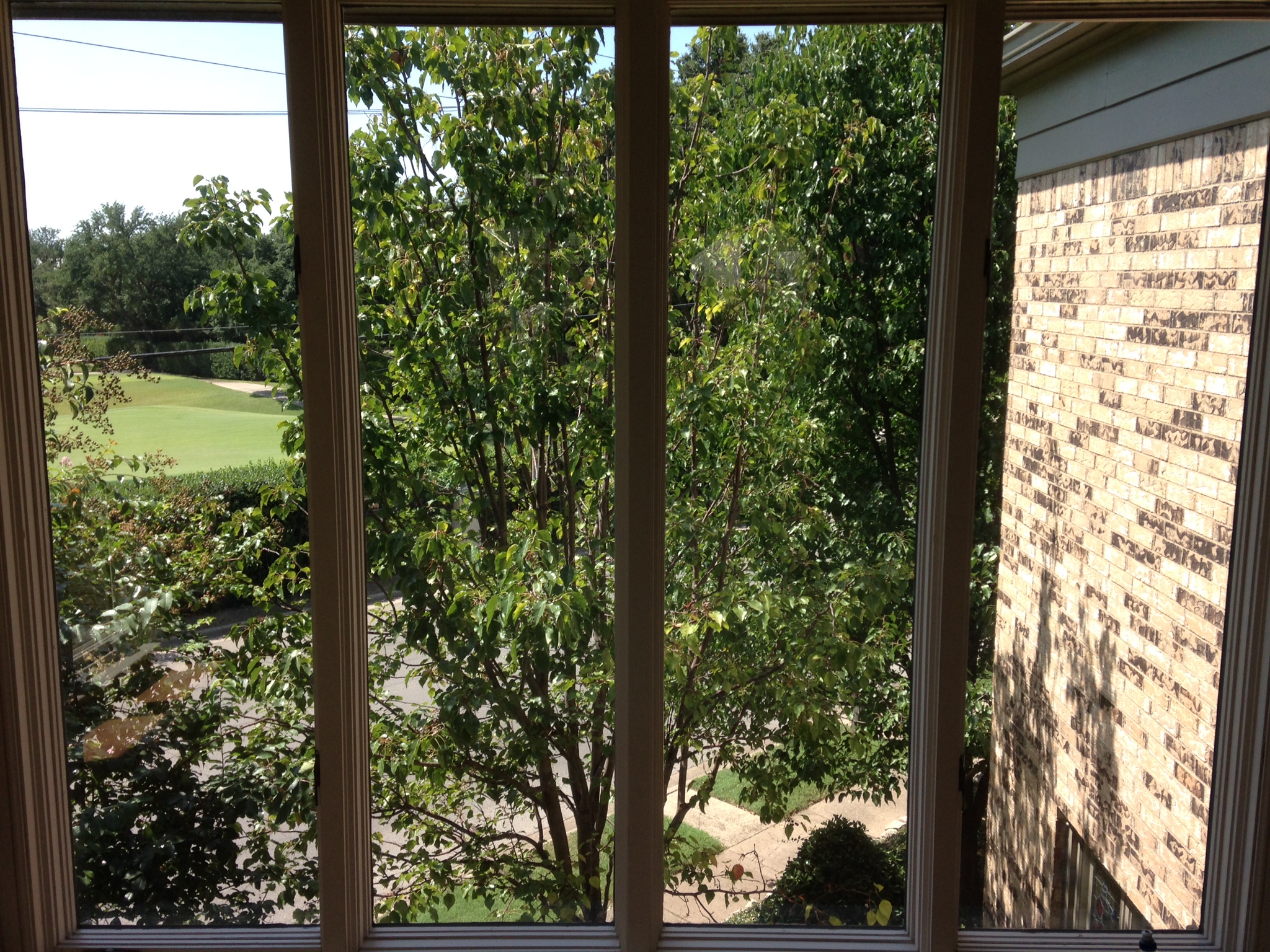 Huper Optik Ceramic 30 Solar Film Window Tint