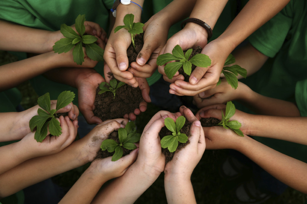 Livermore: The Learning Tree and Your Child’s Development
