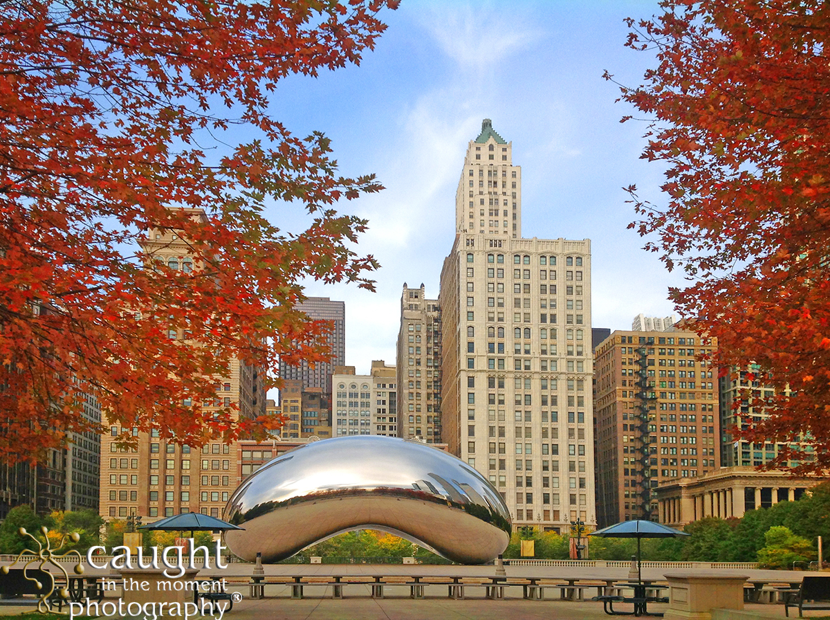 Conference and Convention Photographer Returns to Chicago, IL Area for Healthcare Association Event