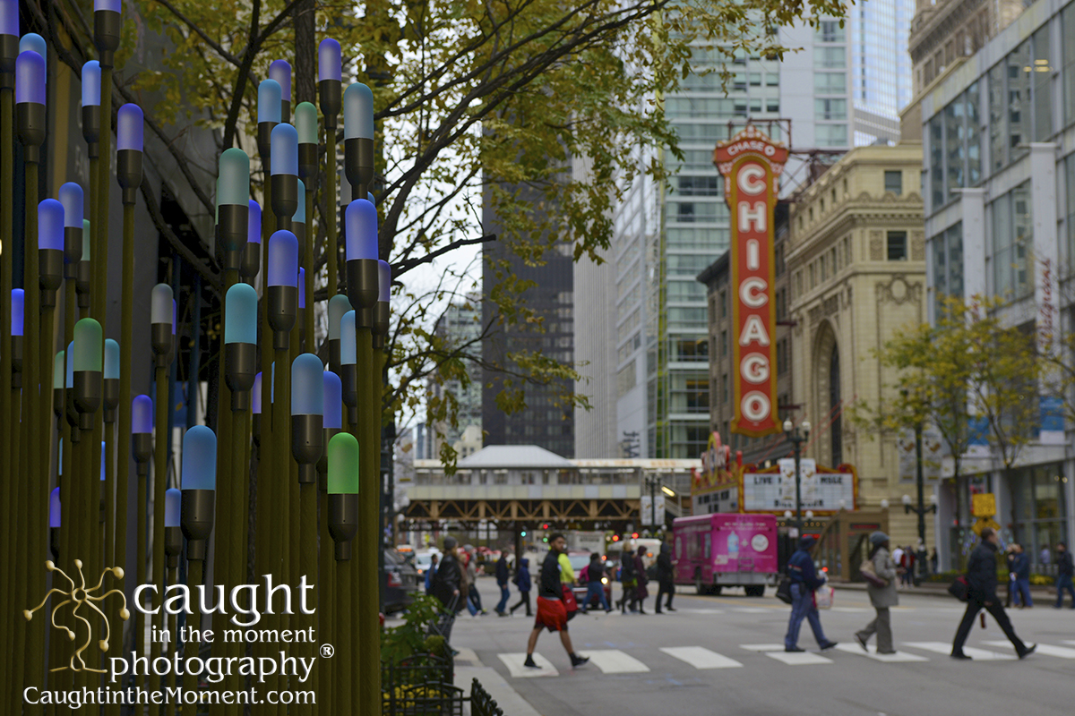 Photography for last conference of year in Chicago, IL for convention Photographer