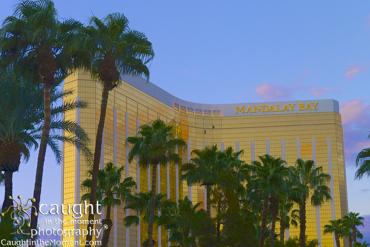 Mandalay Bay Conference and Convention Photographer available for Special Events in Las Vegas, NV