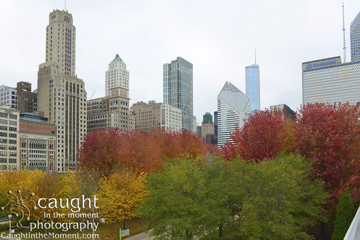 Industry Association Conference and Convention Photographer return to Chicago, IL for Photography Needs
