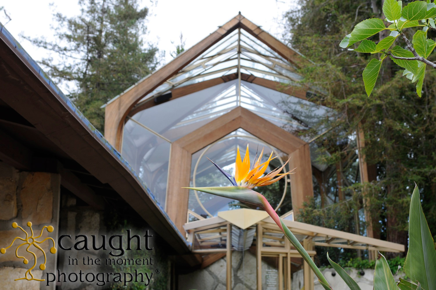 5 Questions for a Wayfarer's Chapel Photographer