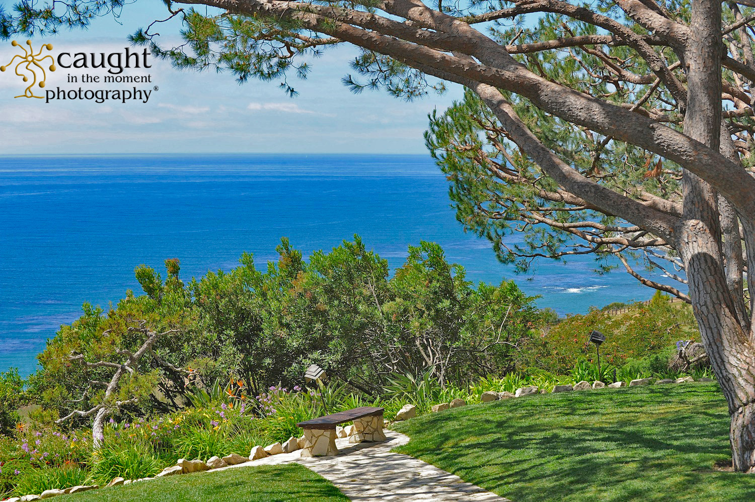 Wedding Photographers appreciate tourist attraction of Wayfarers Chapel in Los Angeles Area