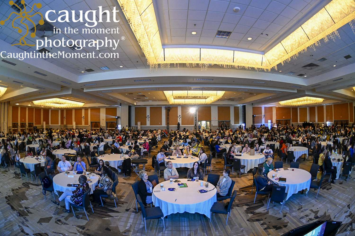 Conference Photographers in Talks to Provide Photography for Washington DC Assn