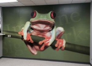 Frog1
