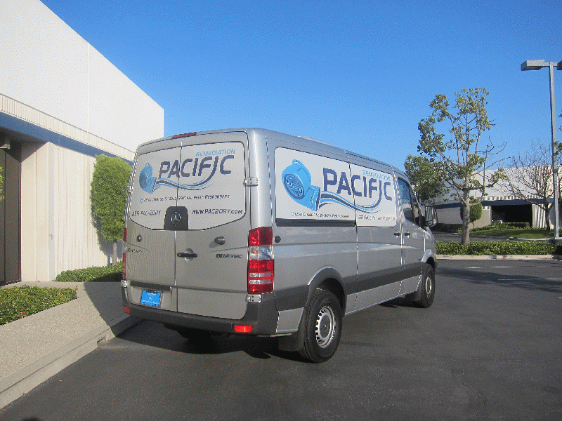 Sprinter Van Window Graphics