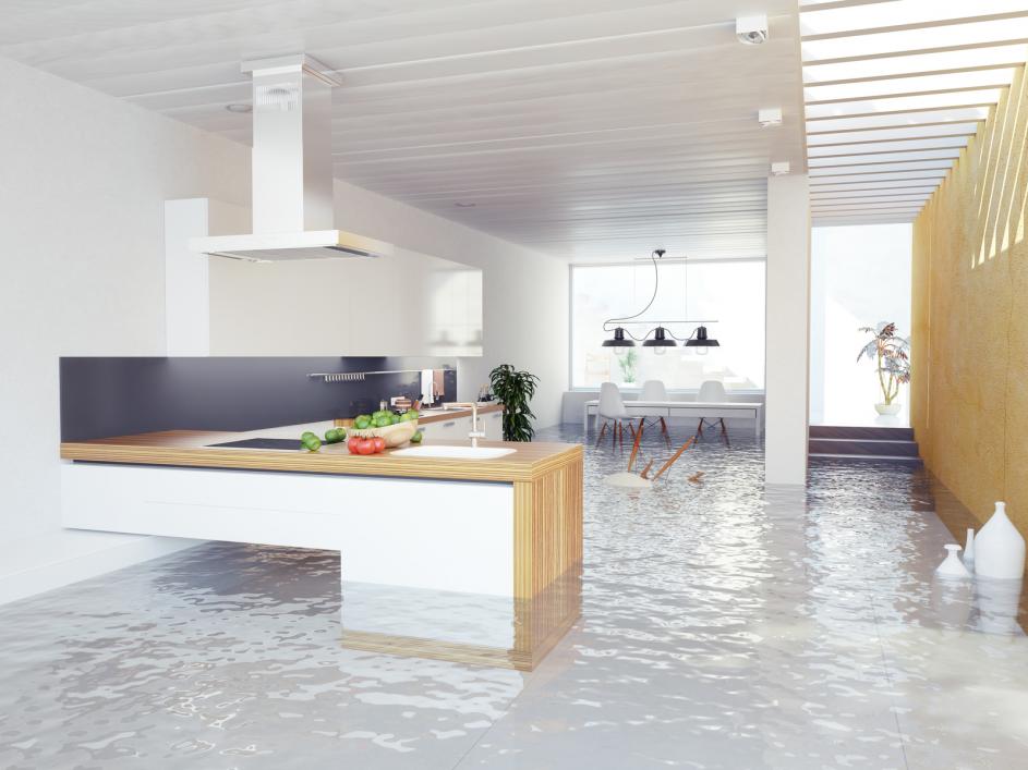 experienced flood damage