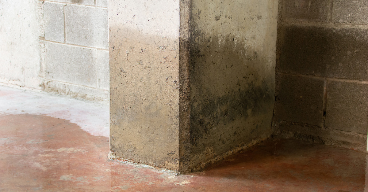 Madison, AL - Why Ignoring Crawlspace Maintenance Can Lead to Costly Repairs