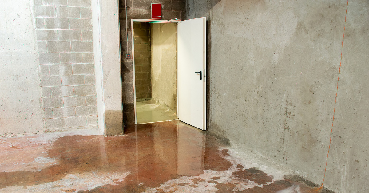 Madison, AL - How to Prevent Musty Odors from a Damp Crawlspace - Crawl Space