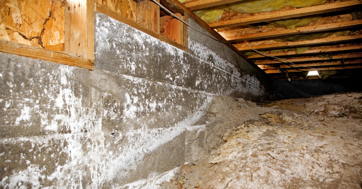 Decatur, AL - Preventing Crawl Space Moisture Problems - Crawlspace News