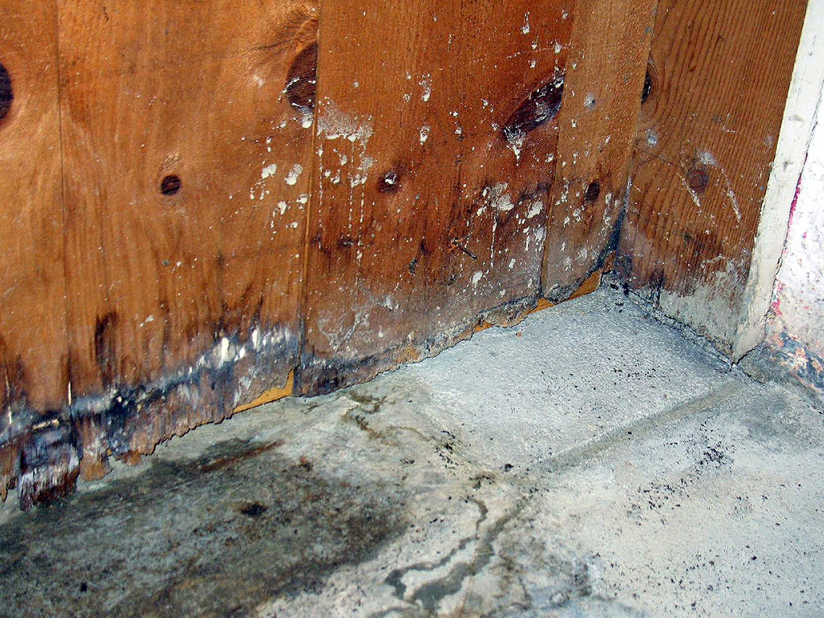 Huntsville, AL - Why Do I Have Moisture Problems in My Crawlspace? Waterproofing