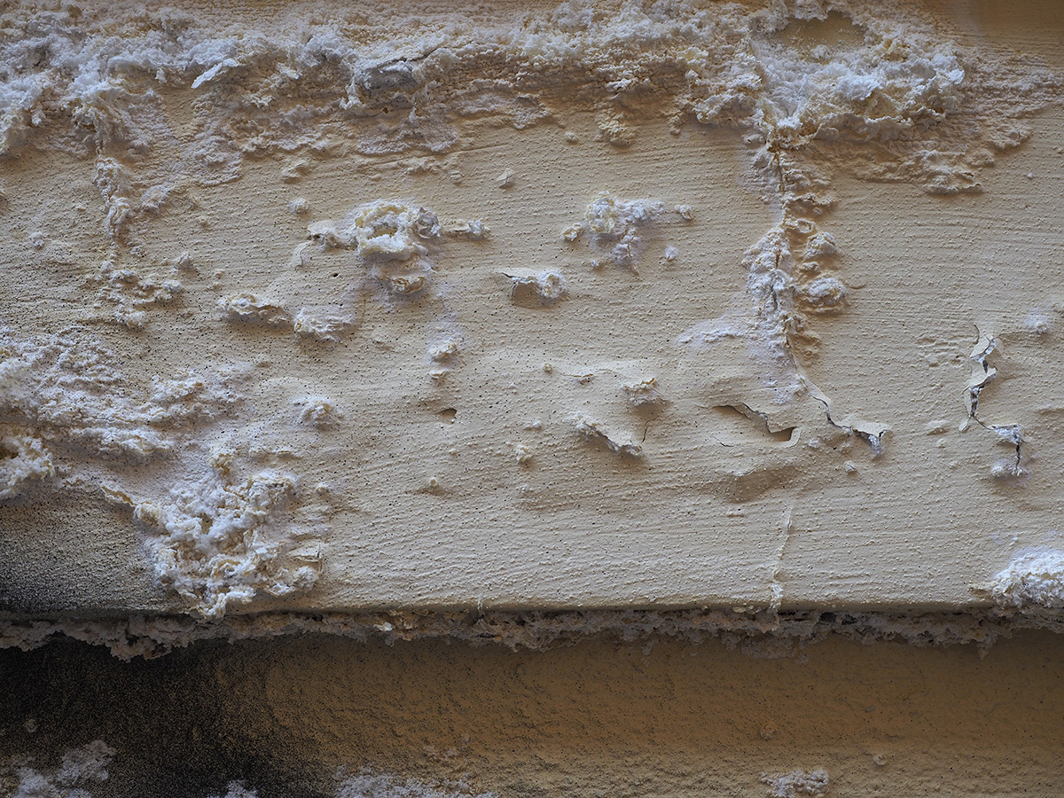 Signs of Moisture Problem