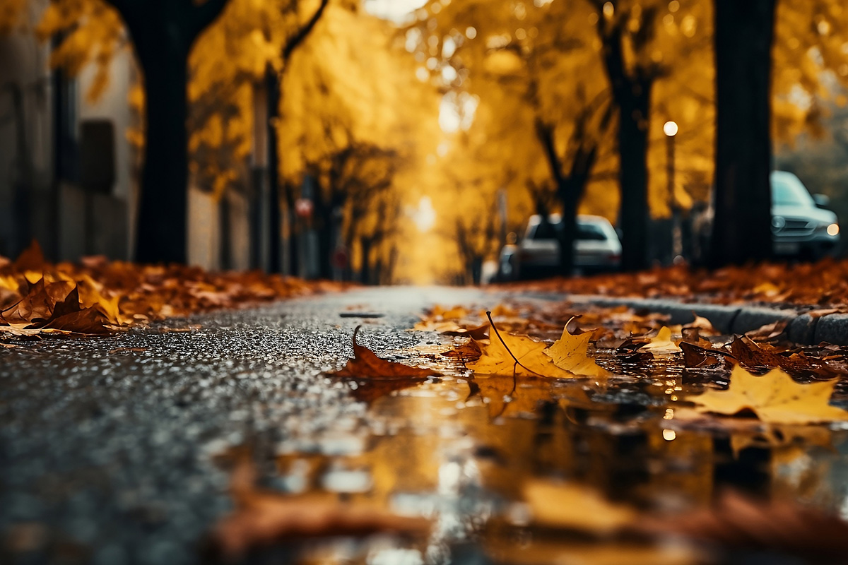 Fall Maintenance Checklist