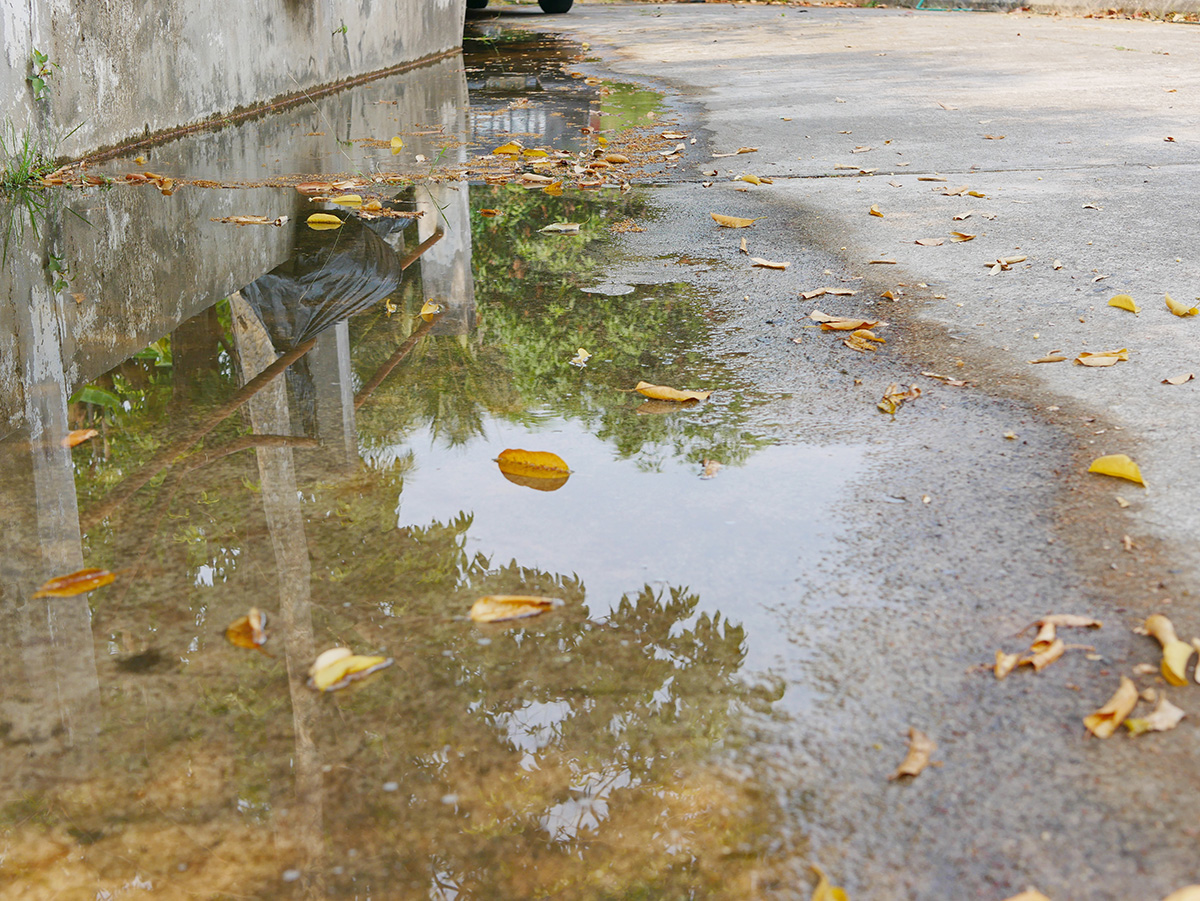 common drainage problems