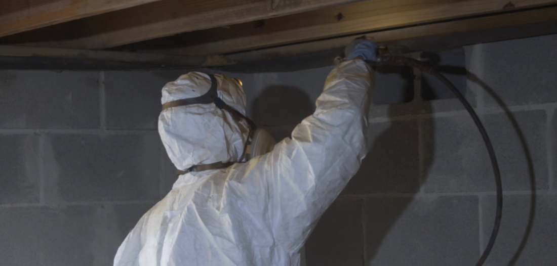 mold and mildew