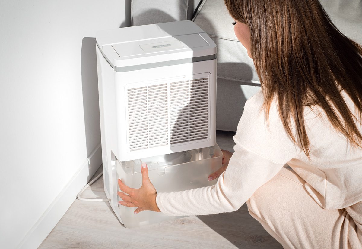 basement dehumidifier