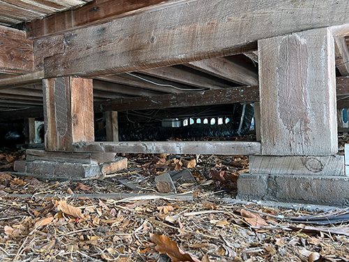 keep pests out of crawl space