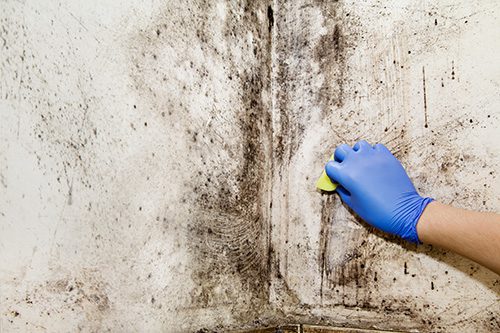 Common Crawl Space Problems