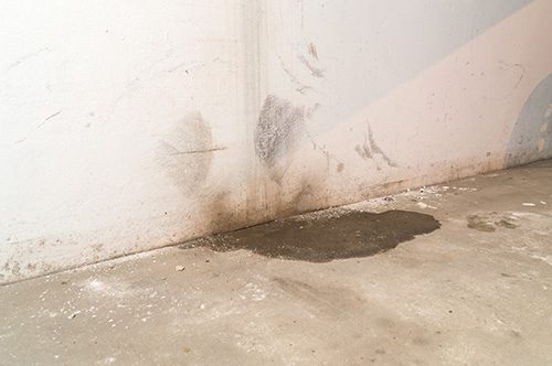 Warning Signs of Crawl Space Water Issues