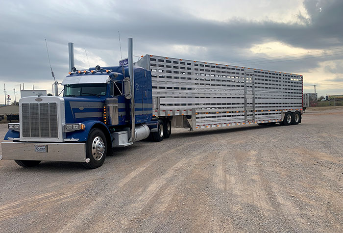 livestock trailer for sale