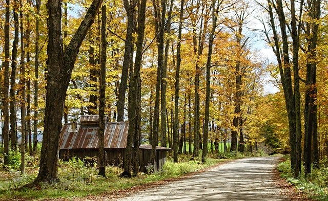 Vermont semi trailers for sale