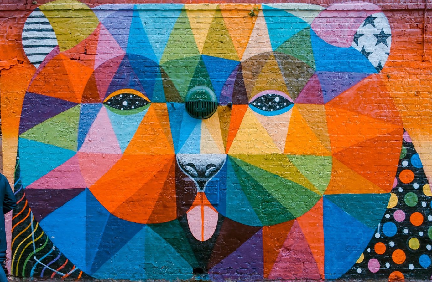 Wall Mural & Graphic