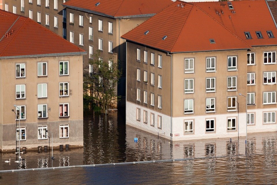 Water Damage