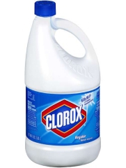 Bleach Supports Mold Growth