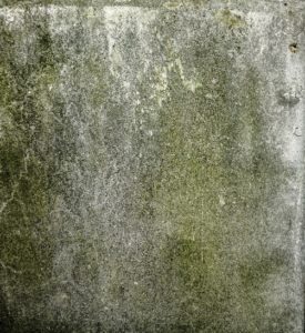 Mold